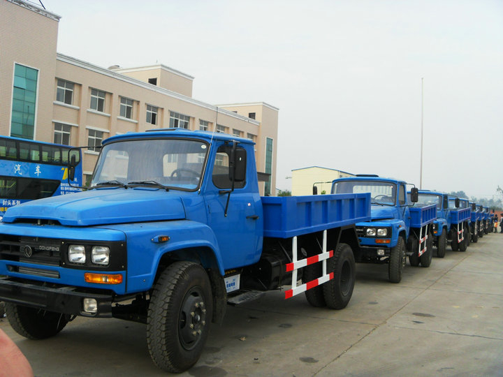 LHD /RHD 9 tonne tipper truck dump Truck