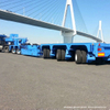 Customized Heavy Haul Multi Axles Modular Trailer 120 Tons Low Bed Trailer