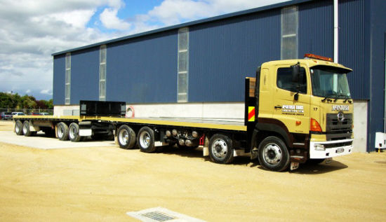 700 Hino 8X4 Flatbed Truck Brand New Hino Engine P11c-Uj /P11c-Ur for Sale