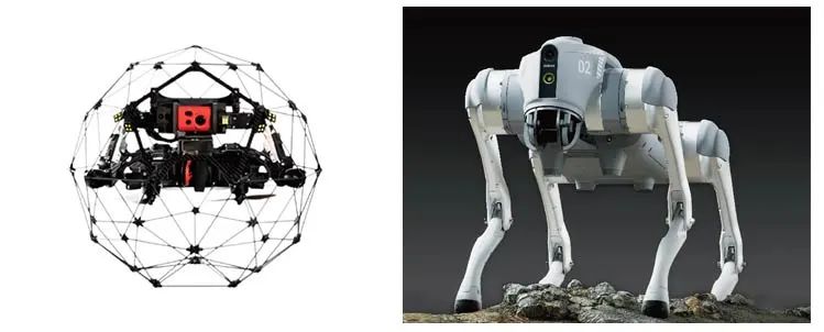 Cage drones, Robotic dogs