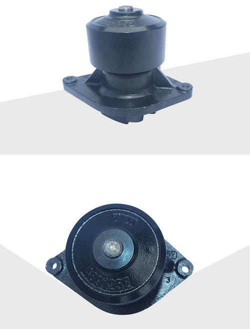 Pump assembly C4891252